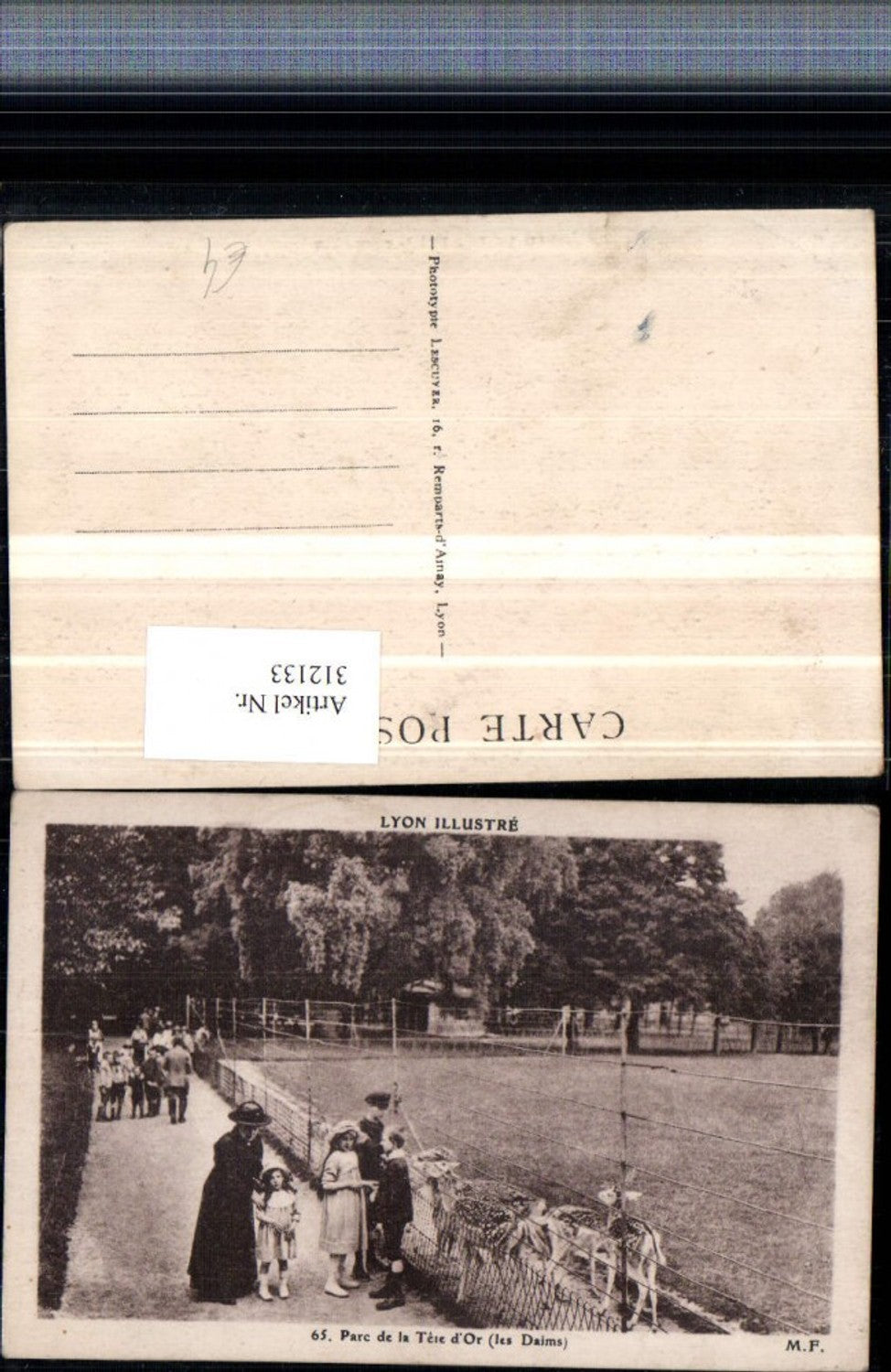 312133,Lyon Parc de la Tete d'Or Park Wildgehege Rehe