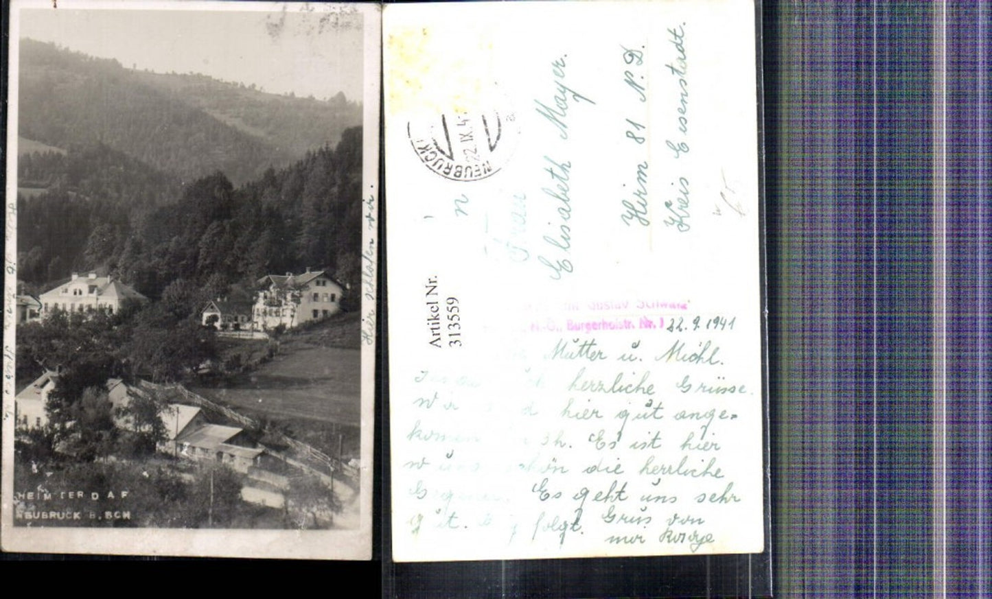 313559,Foto Ak Neubruck b. Scheibbs Teilansicht