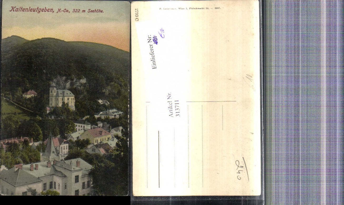 313711,Kaltenleutgeben Totale