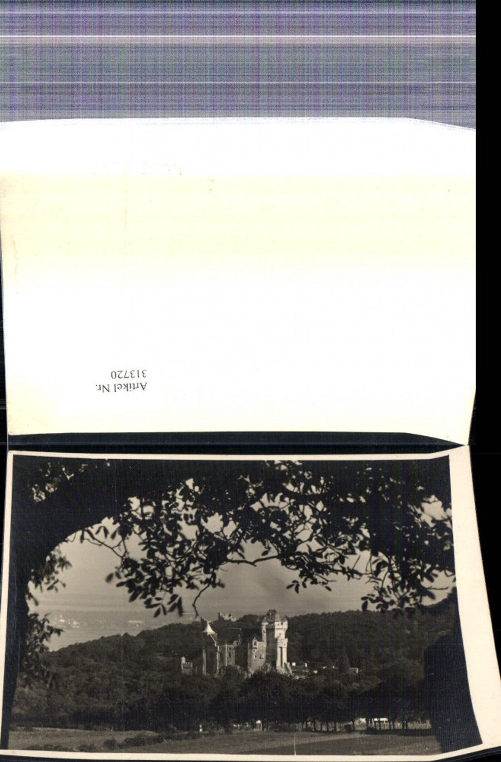 313720,Foto Fotografie Mödling Burg Liechtenstein pub Prohaska