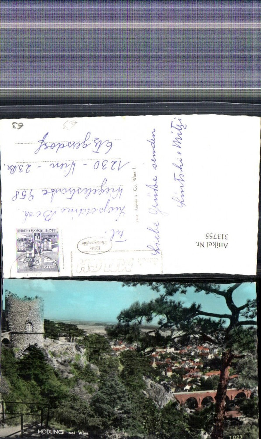 313755,Foto Ak Mödling b. Wien Ruine u. Teilansicht Baum i. Vordergrund