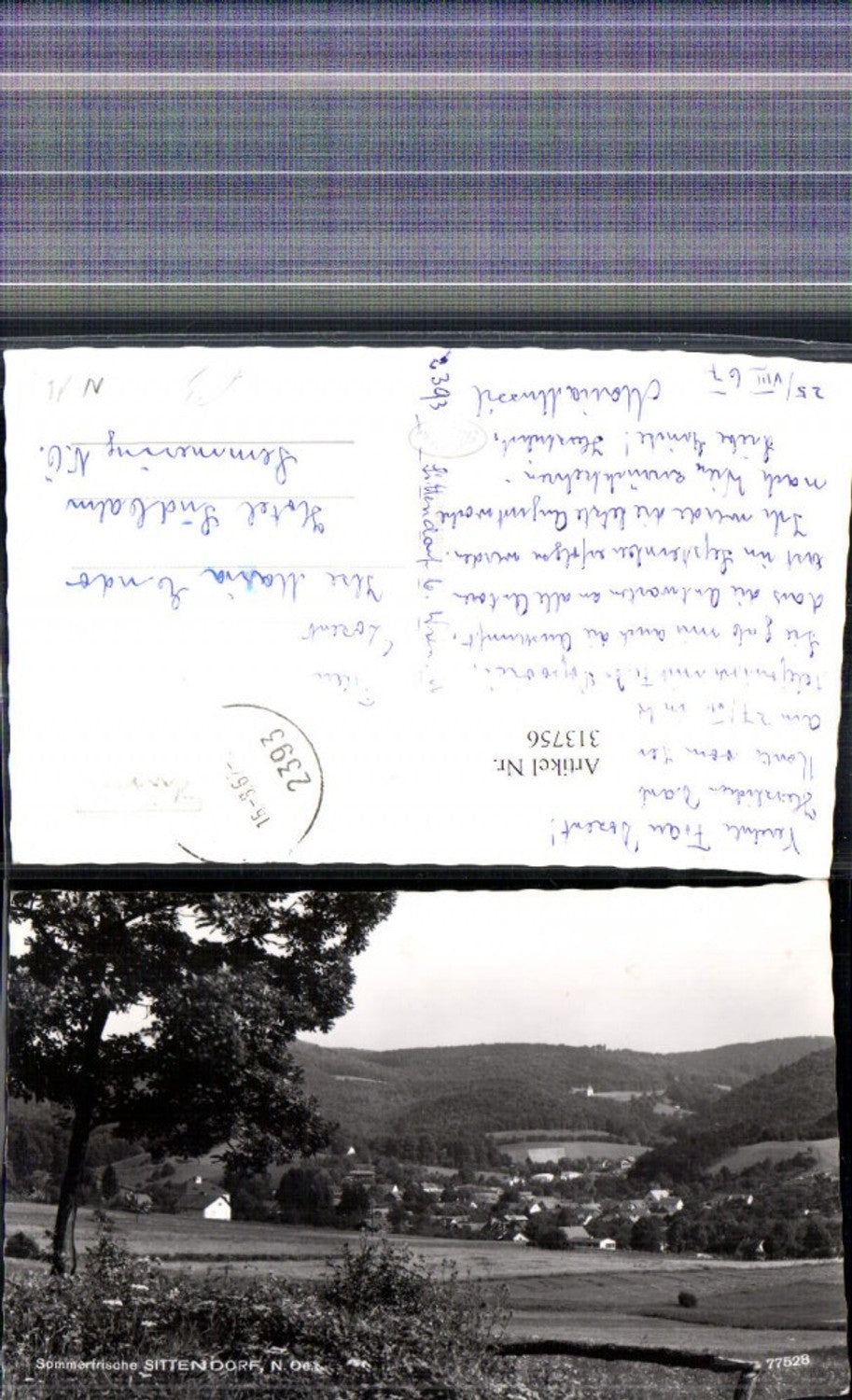 313756,Foto Ak Sittendorf Totale 1967