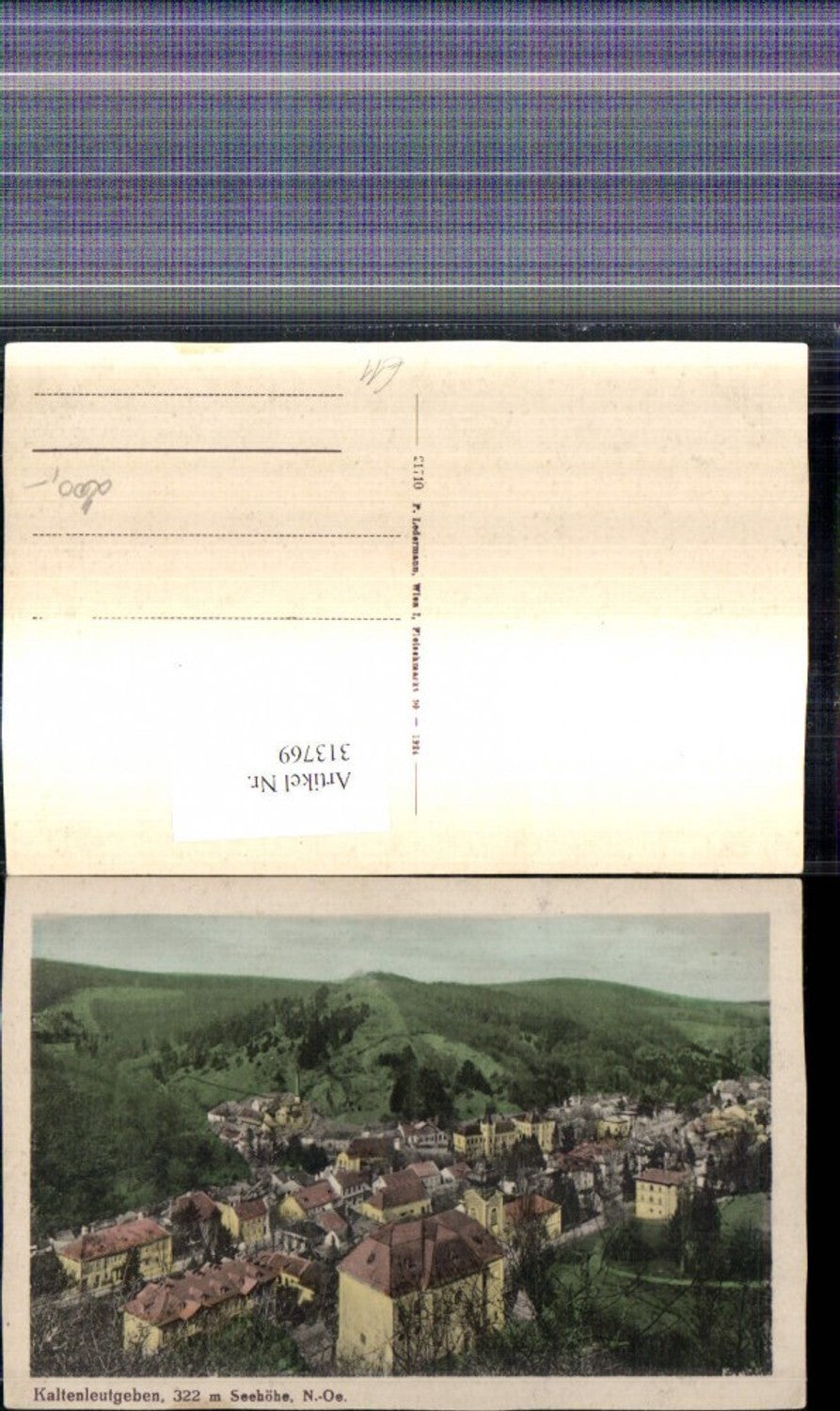 313769,Kaltenleutgeben Totale