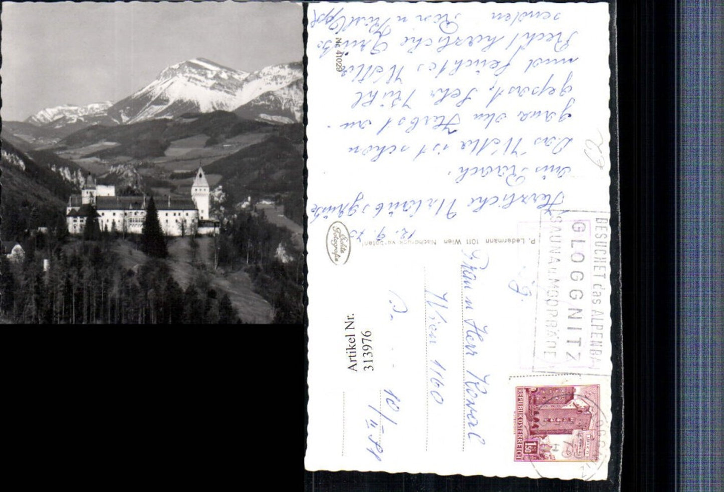 313976,Schloss Wartenstein b. Gloggnitz geg. Rax Bergkulisse
