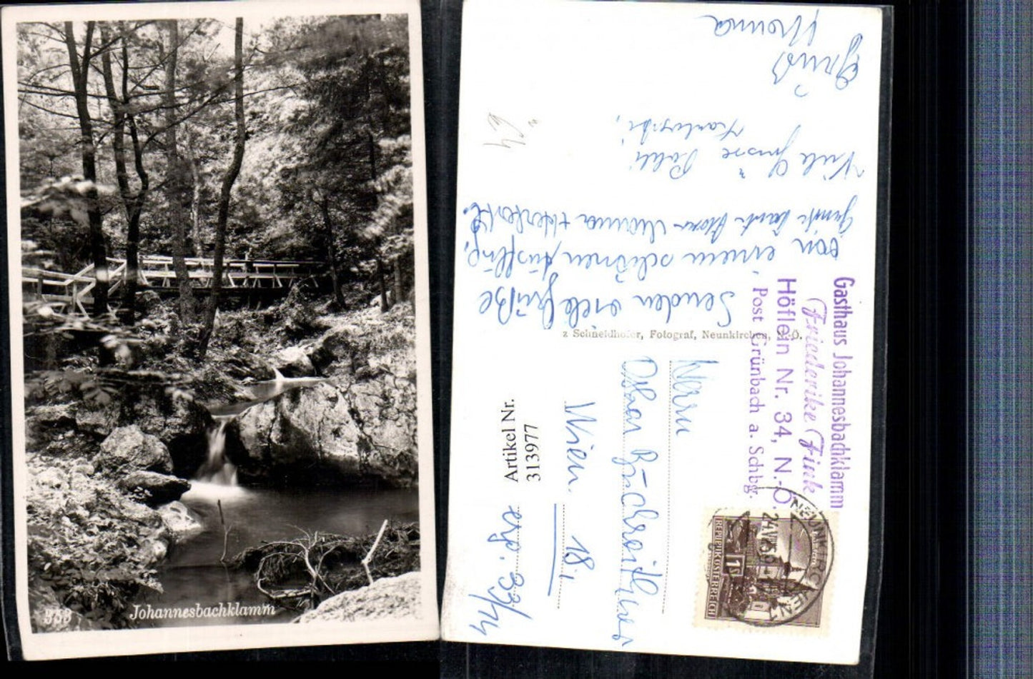 313977,Johannesbachklamm b. Würflach Brücke Waldbach
