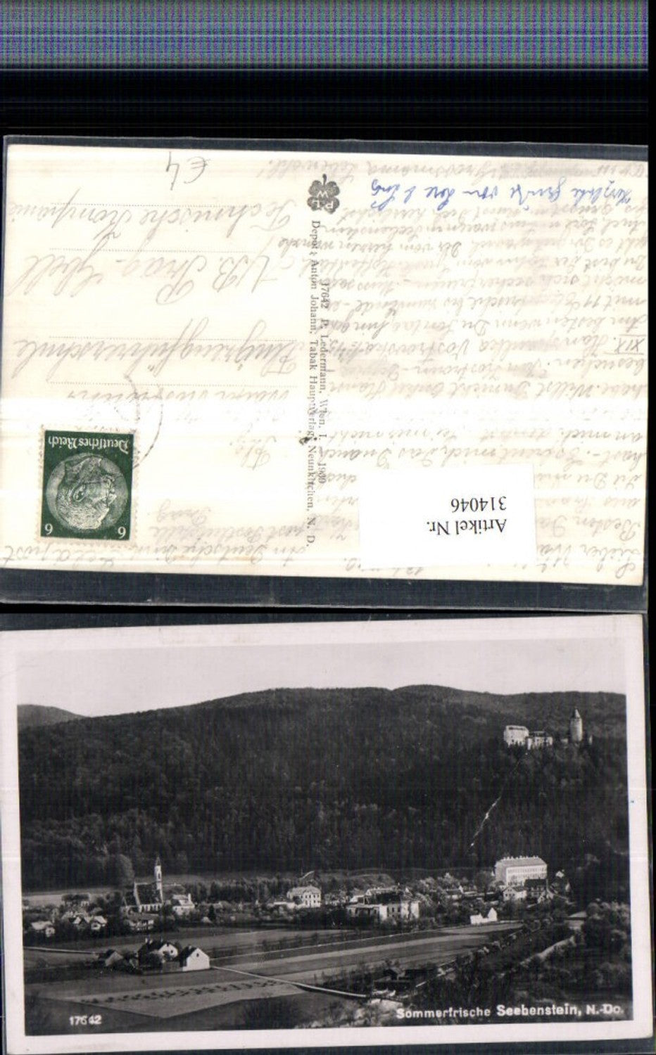 314046,Seebenstein Total shot with castle