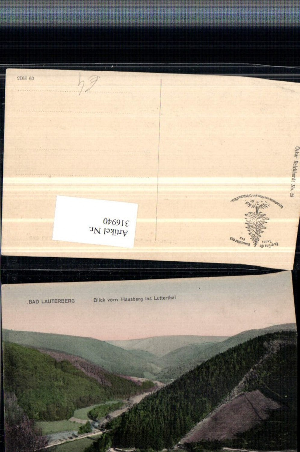 316940,Bad Lauterberg Blick v. Hausberg ins Lutterthal