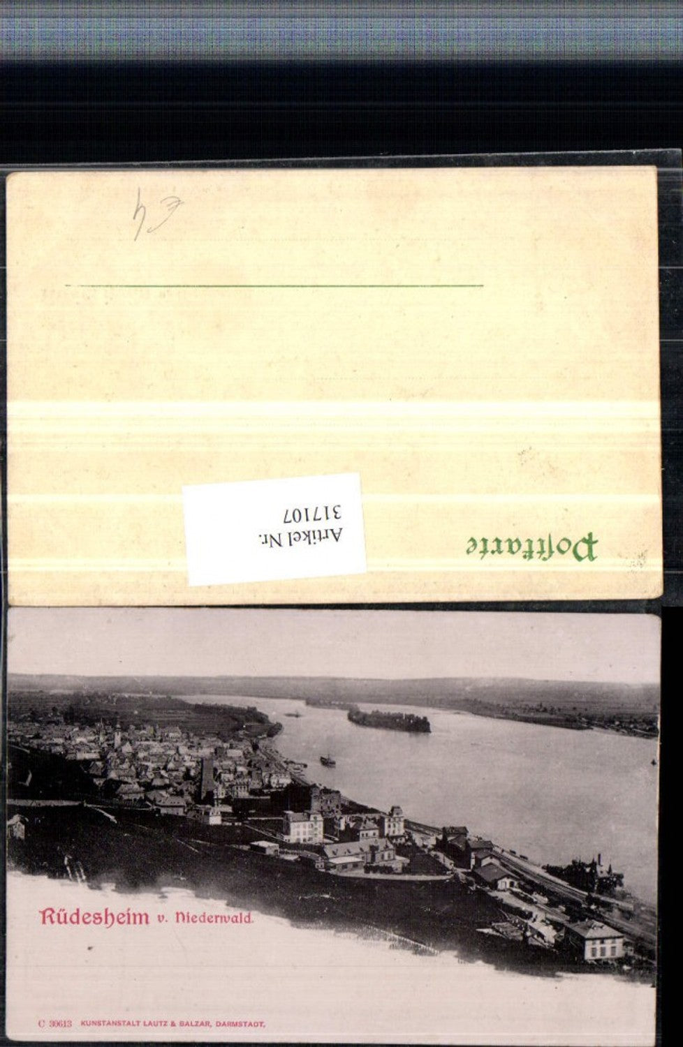 317107,Rüdesheim am Rhein Totale vom Niederwald