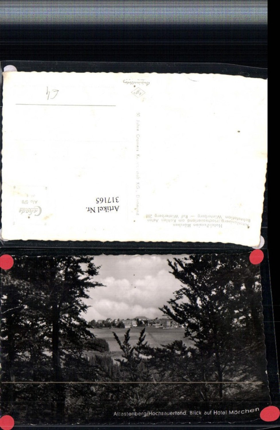 317165,Altastenberg im Hochsauerland Blick auf Hotel Mörchen