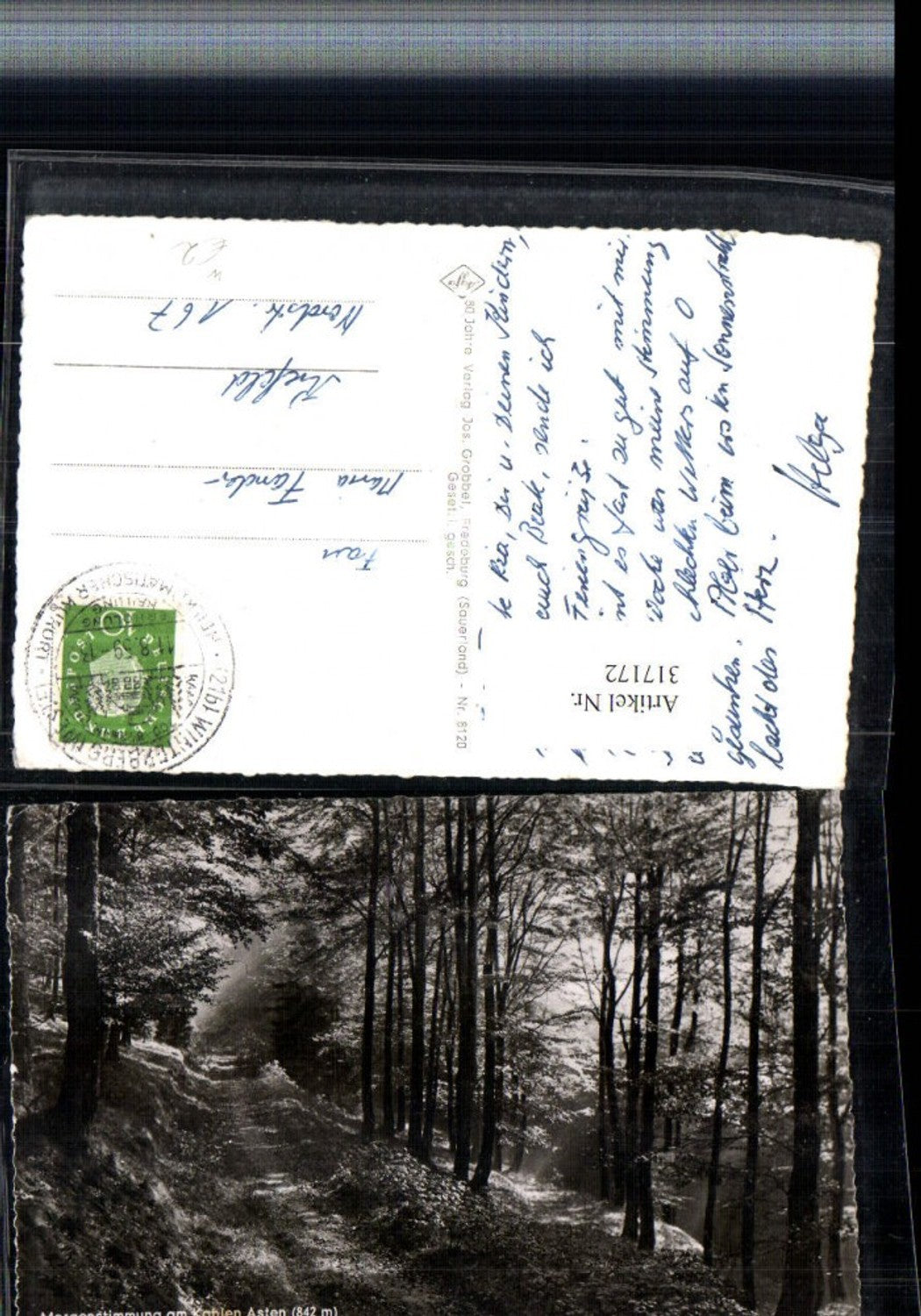 317172,Morgenstimmung am Kahlen Asten b. Winterberg Wegpartie