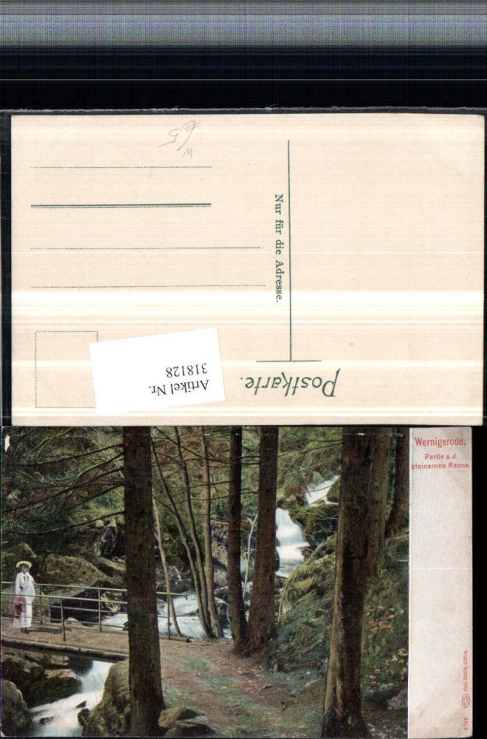 318128,Wernigerode Partie an d. Steinernen Renne Wildbach Brücke