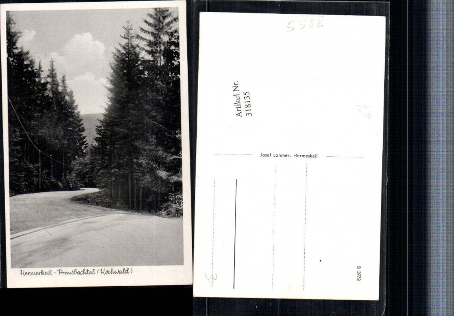 318135,Hermeskeil Primsbachtal im Hochwald Wegpartie