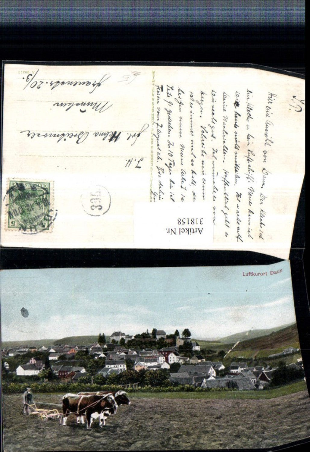 318158,Daun in d. Eifel Totale Kuhgespann Feld