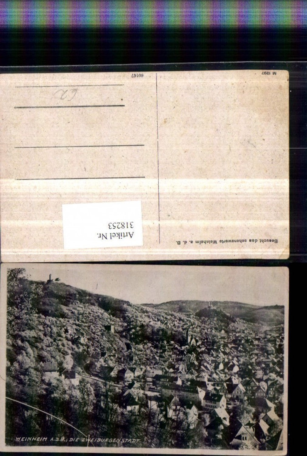 318253,Weinheim an d. Bergstraße Totale