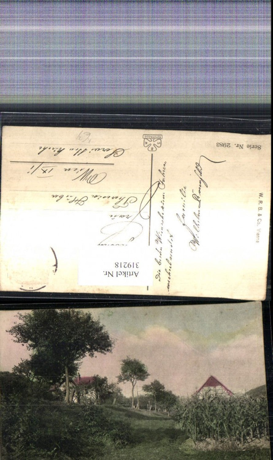 319218,Künstler Ak Häuser Maisfeld Landschaft