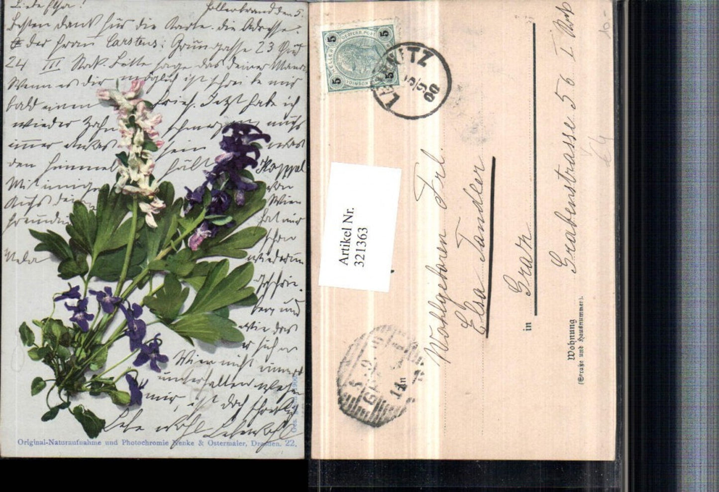 321363,Photochromie Nenke & Ostermaier Blumen Veilchen Dingel