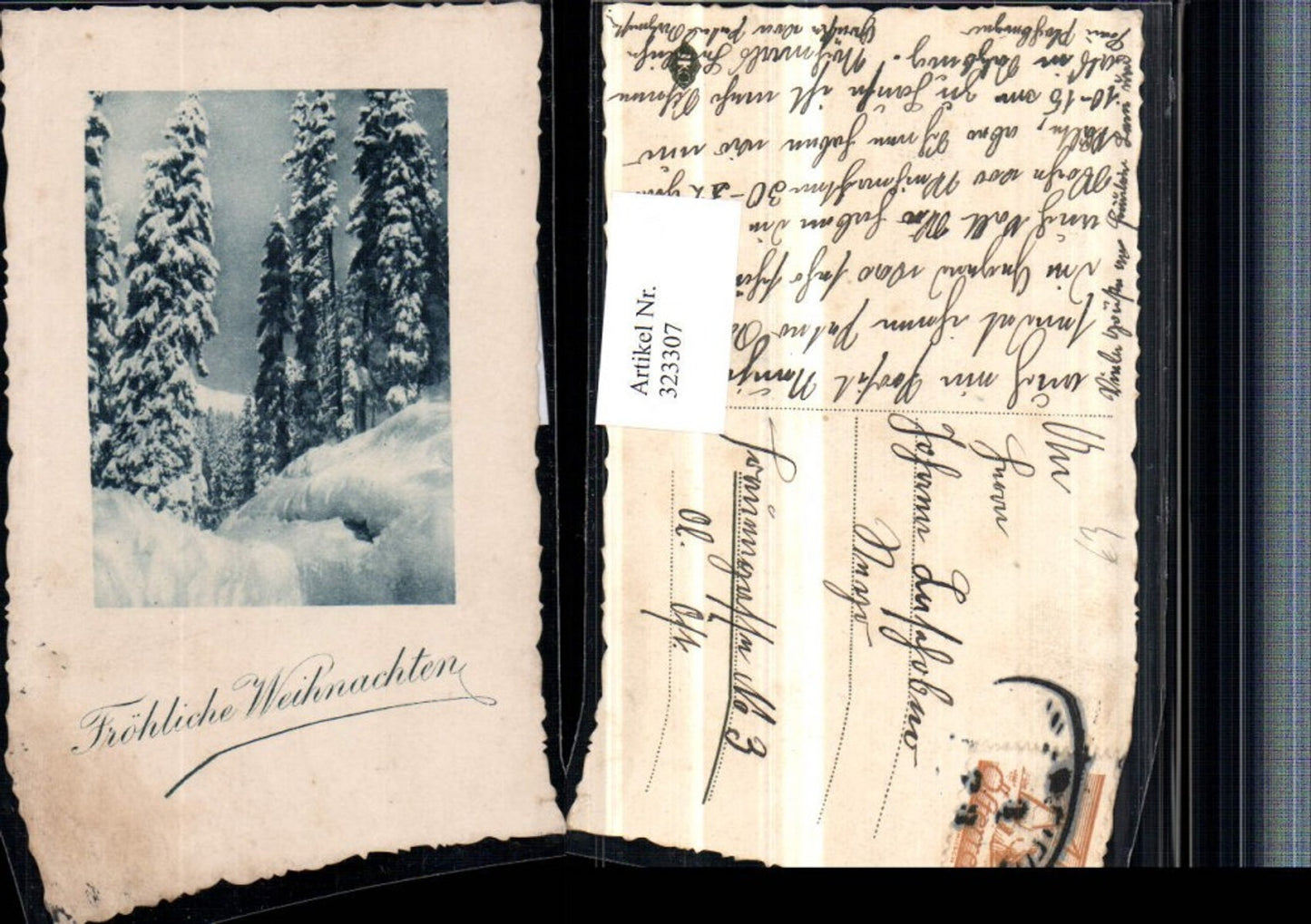 323307, Christmas Winter Landscape Forest