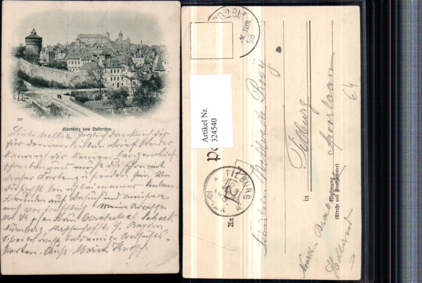324540,Künstler AK Nürnberg Teilansicht m. Burg vom Hallertor