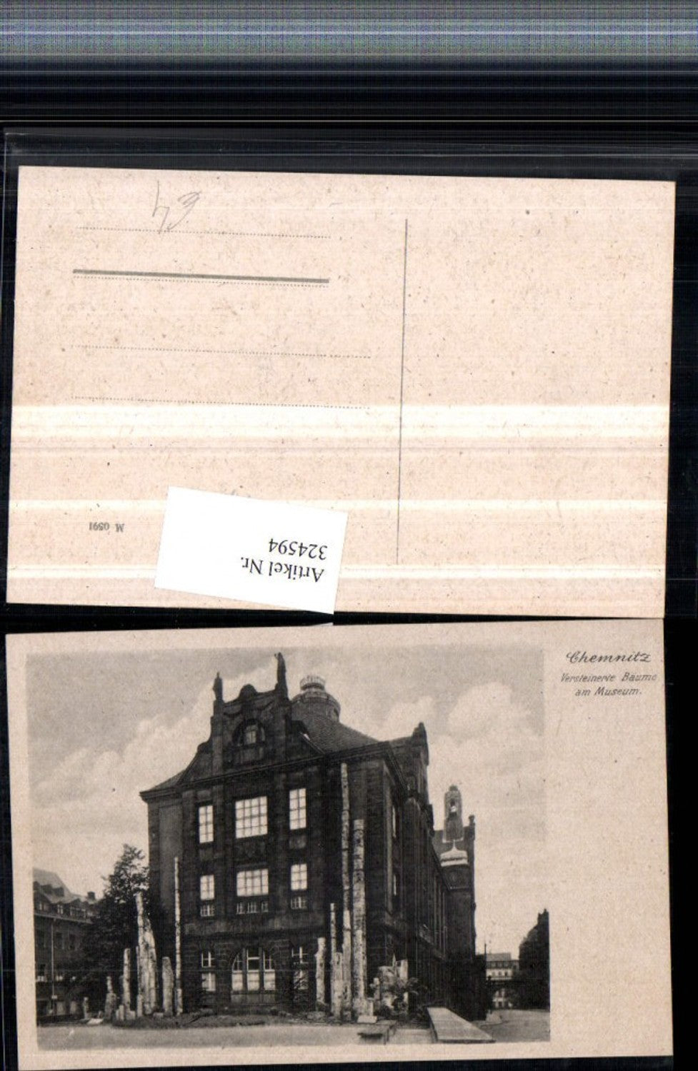 324594, Chemnitz Petrified Trees at the Museum