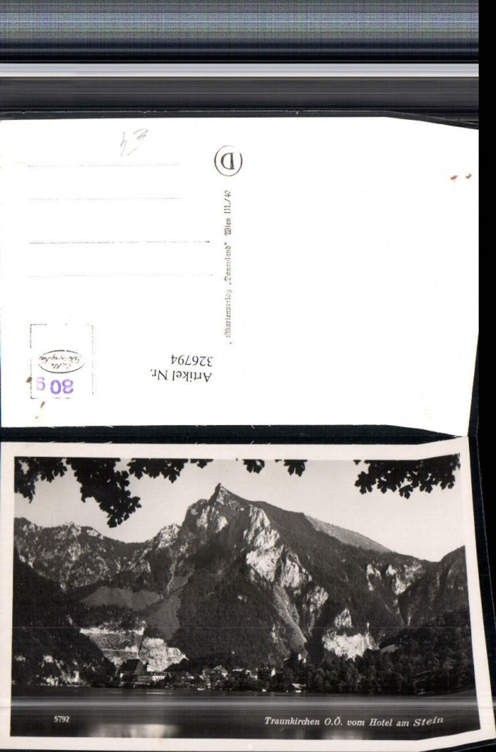 326794,Traunkirchen Totale vom Hotel am Stein Bergkulisse