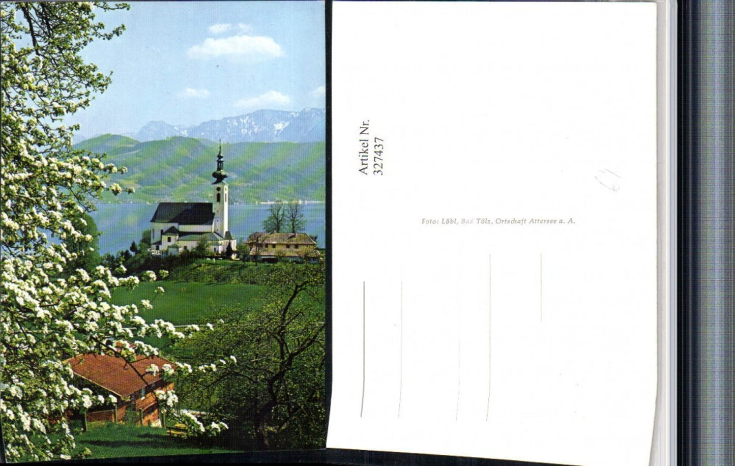 327437,Attersee am Attersee Kirche Baumblüte Bergkulisse