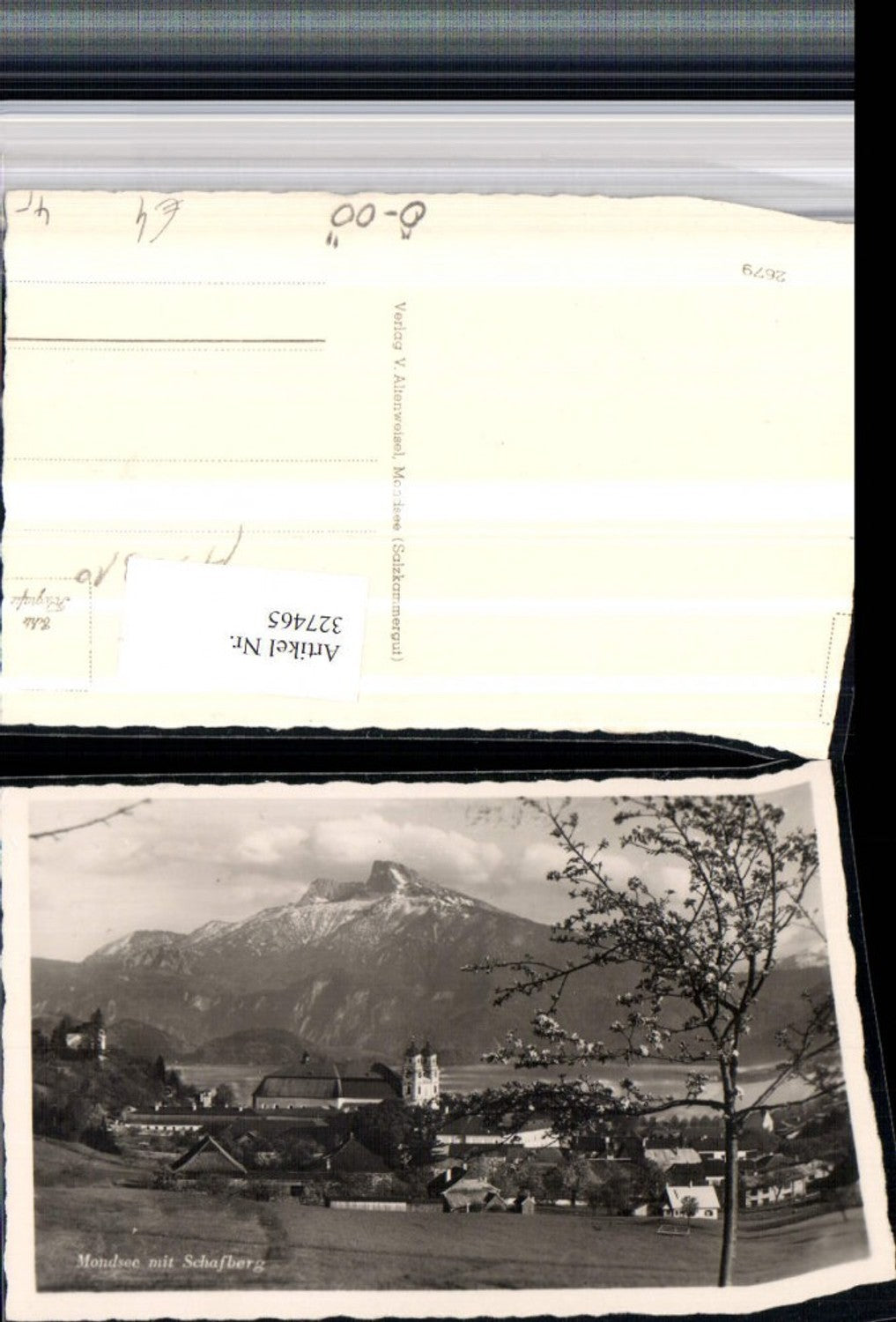 327465,Mondsee Teilansicht m. Schafberg Bergkulisse Baumblüte
