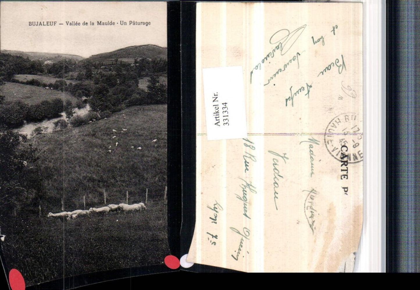 331334,Limousin Haute-Vienne Bujaleuf Vallee de la Maulde Un Paturage Landschaft Schafe
