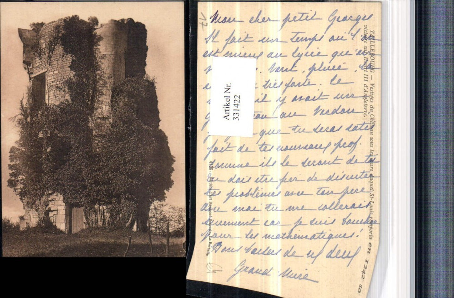 331422,Poitou-Charentes Charente-Maritime Taillebourg Vestiges du Chateau Turm