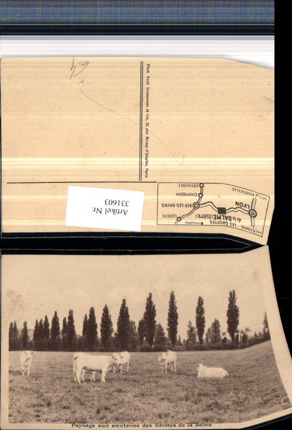 331603,Rhone-Alpes Isere Paysage aux environs des Grottes de la Balme Rinder Kühe