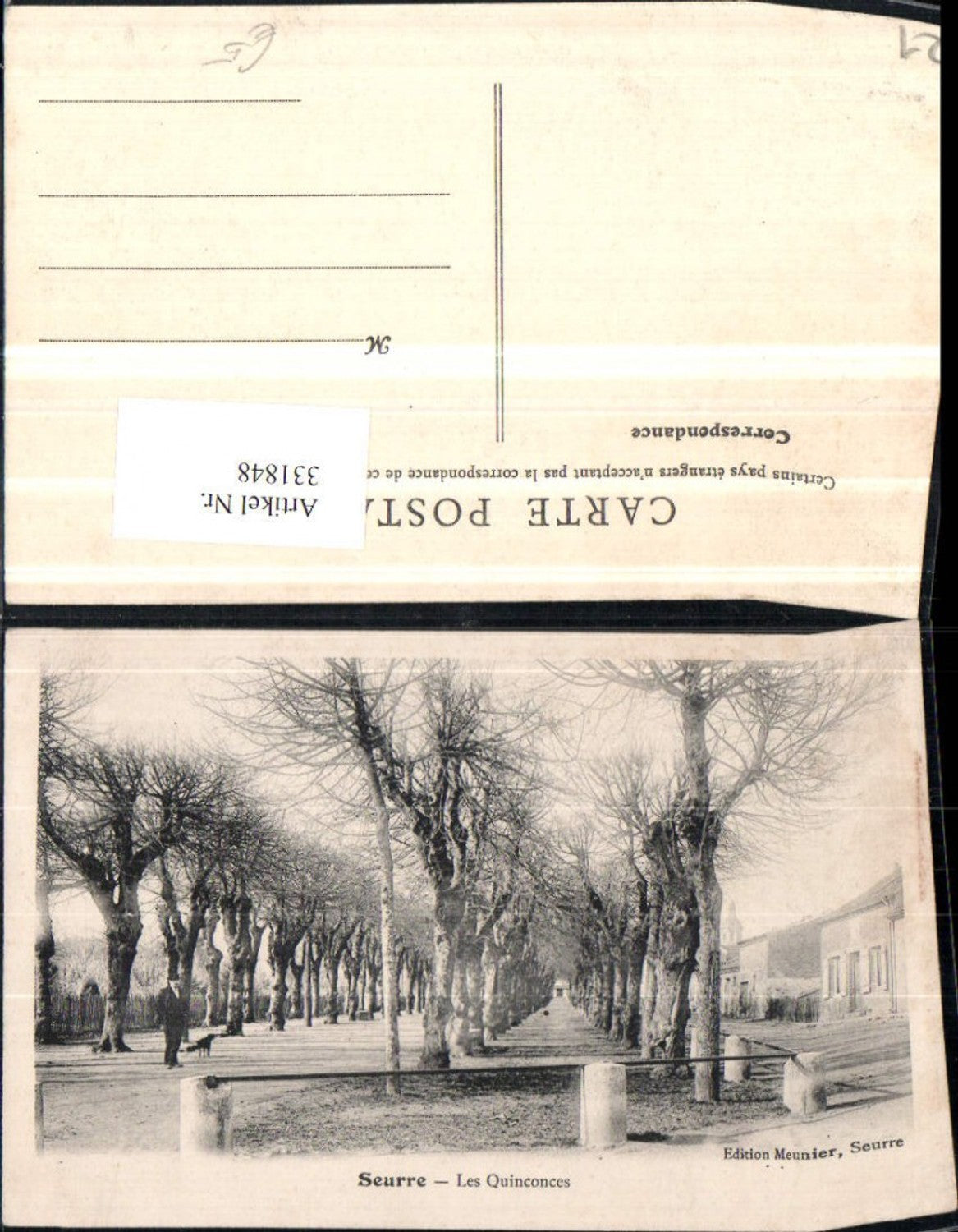 331848,Burgund Cote-Or Seurre Les Quinconces Allee