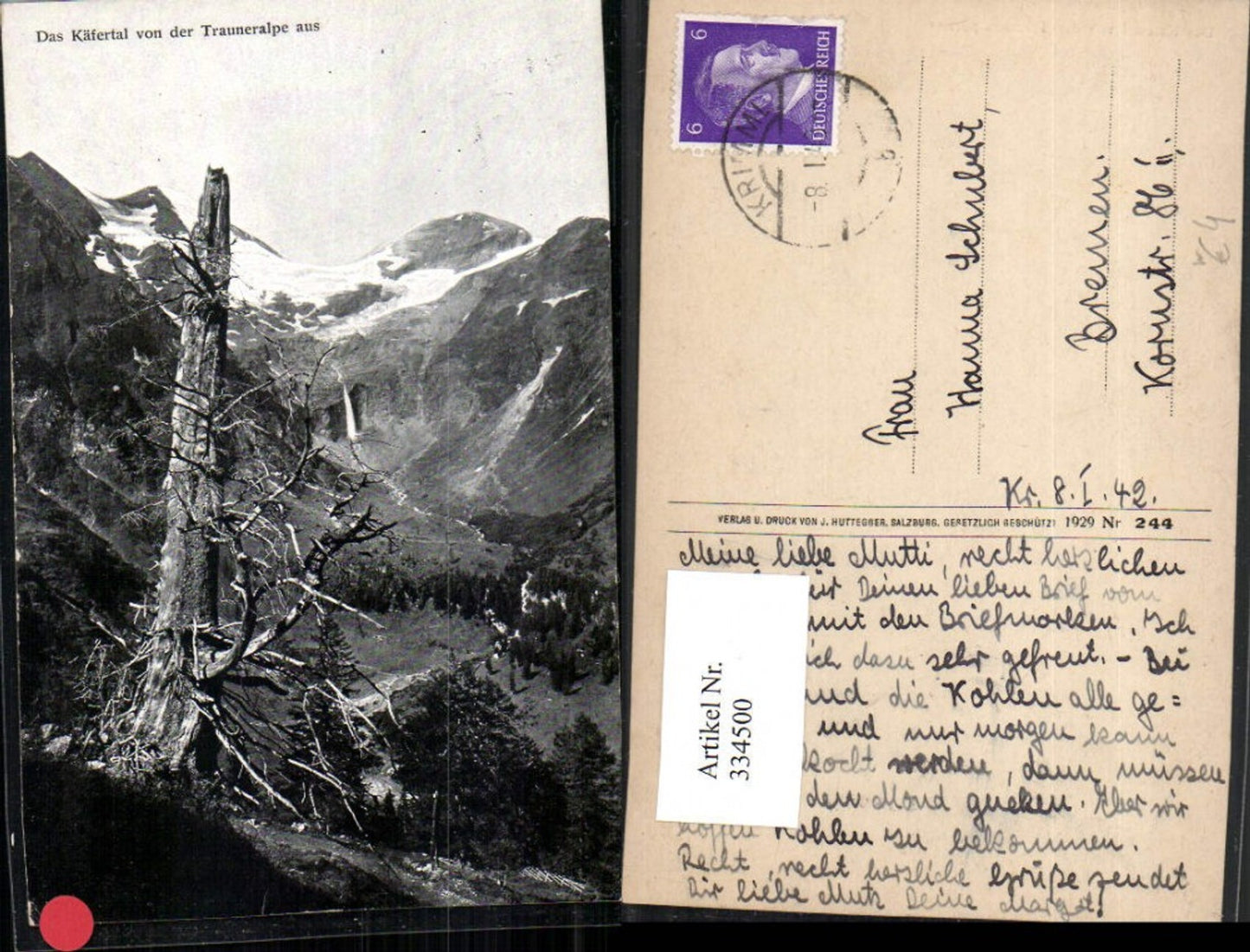 334500,Das Käfertal von d. Trauneralpe b. Krimml Bergkulisse