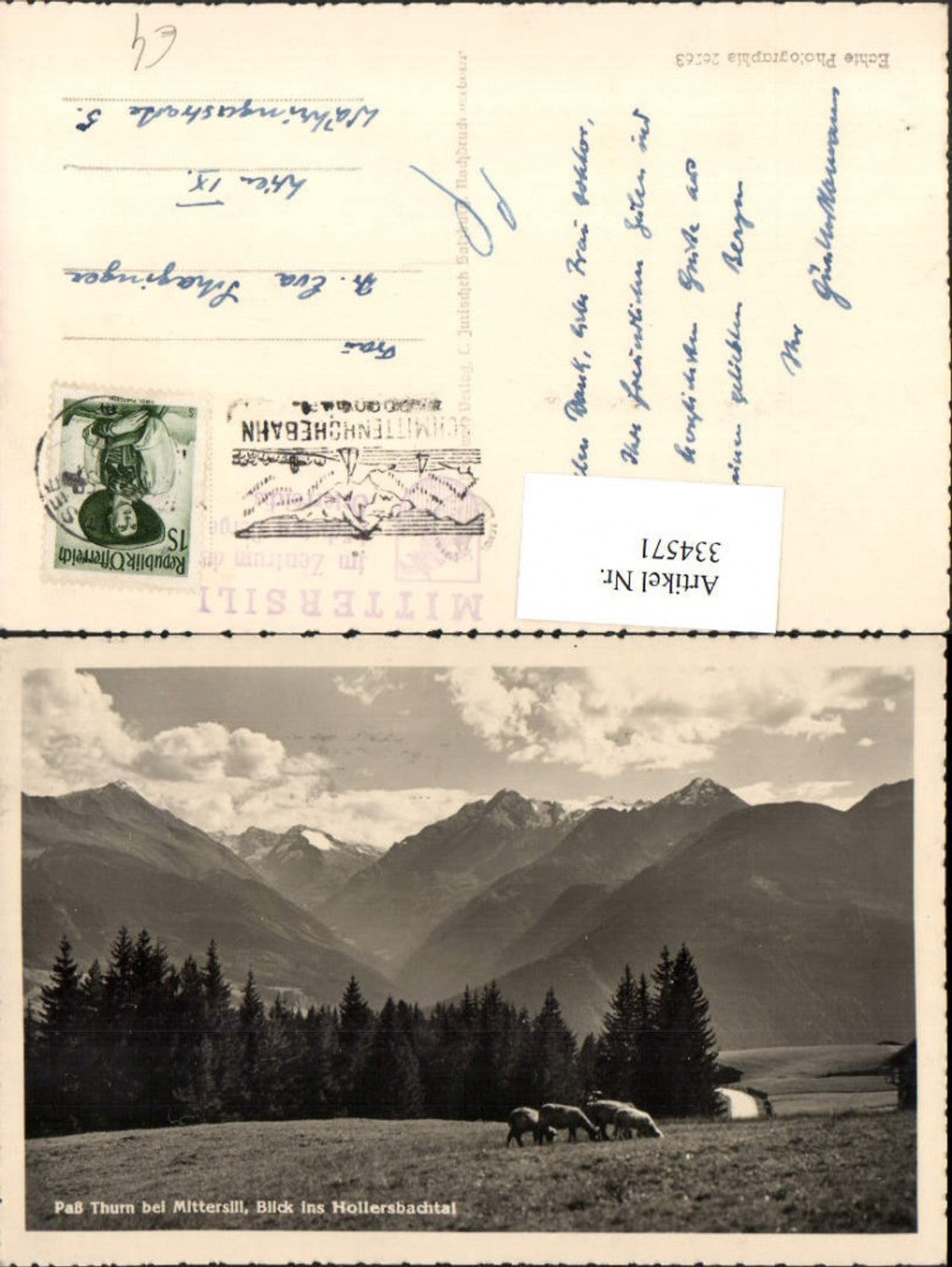 334571,Pass Thurn b. Mittersill Blick ins Hollersbachtal Bergkulisse Schafe