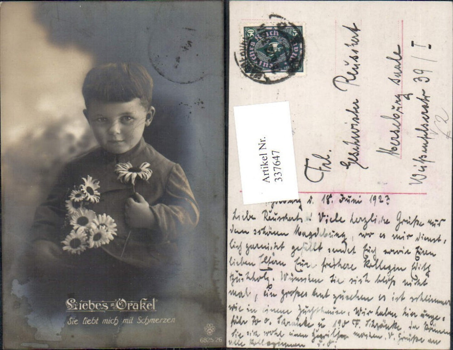 337647,Foto Ak Kind Bub Junge m. Blumen Margeriten Liebesorakel pub RPH SBW 6825/26