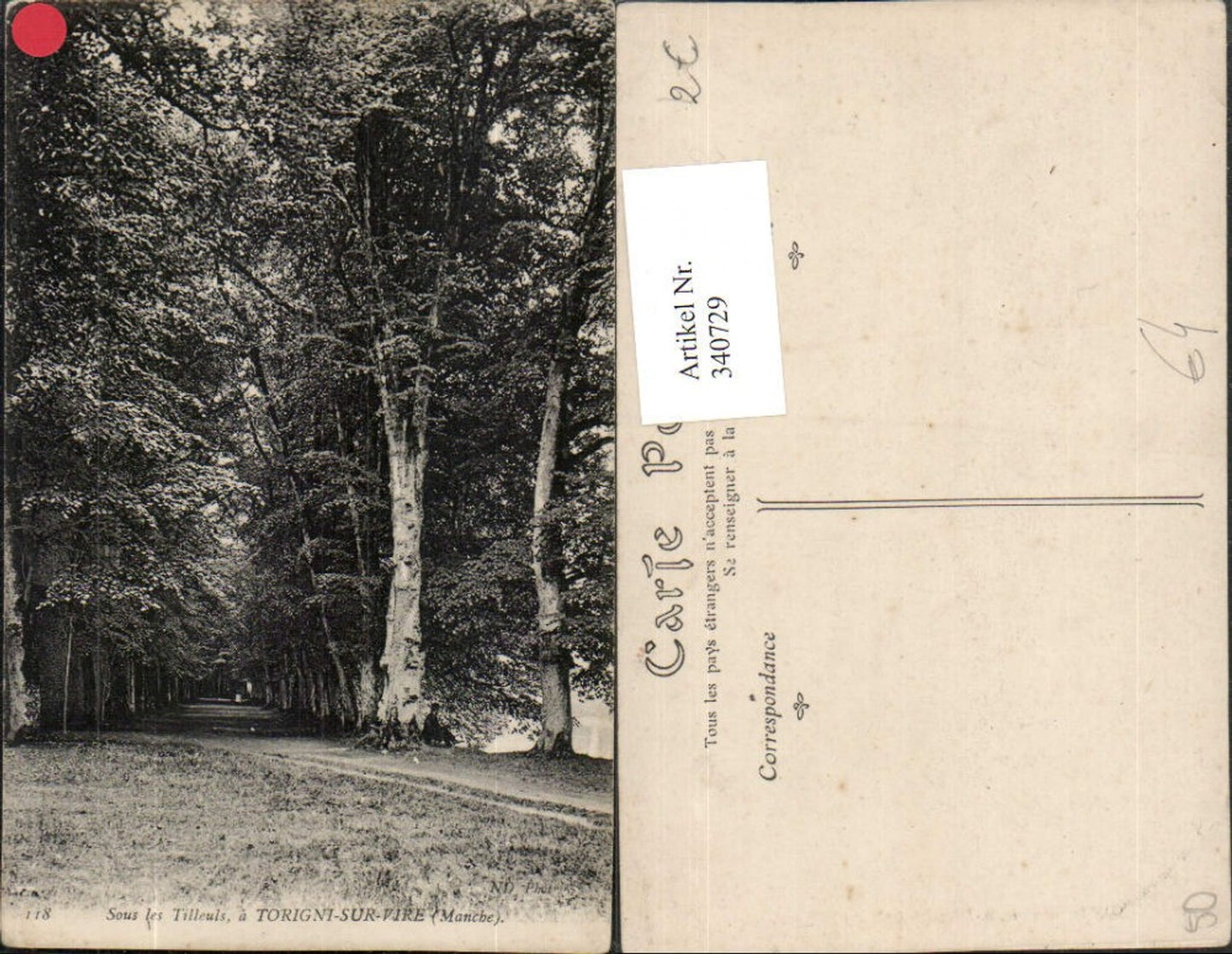 340729,Basse-Normandie Manche Torigni-sur-Vire Sous les Tilleuls Wald
