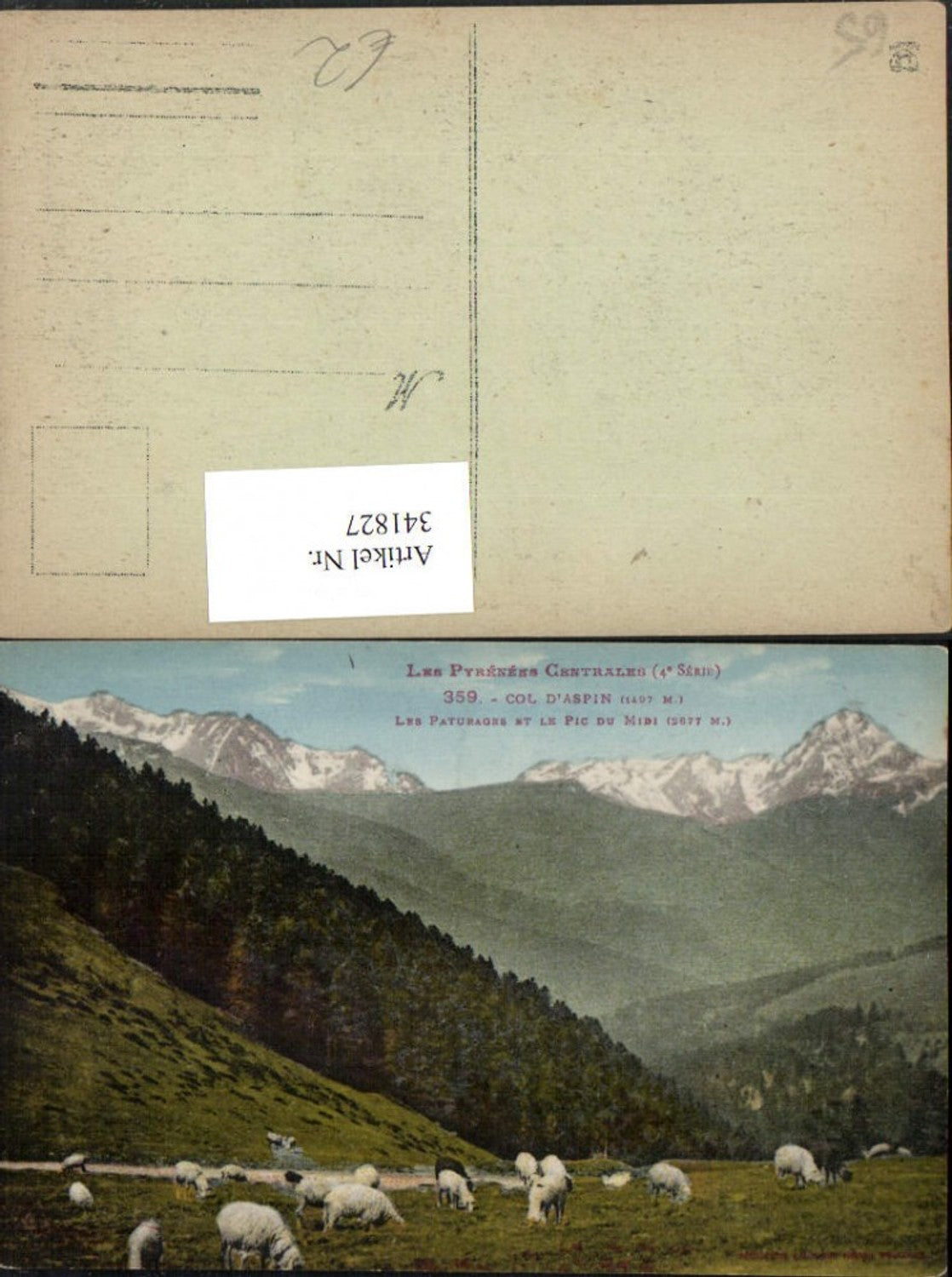341827,Midi-Pyrenees Hautes-Pyrenees Col d'Aspin Les Paturages et le Pic du Midi Bergkulisse