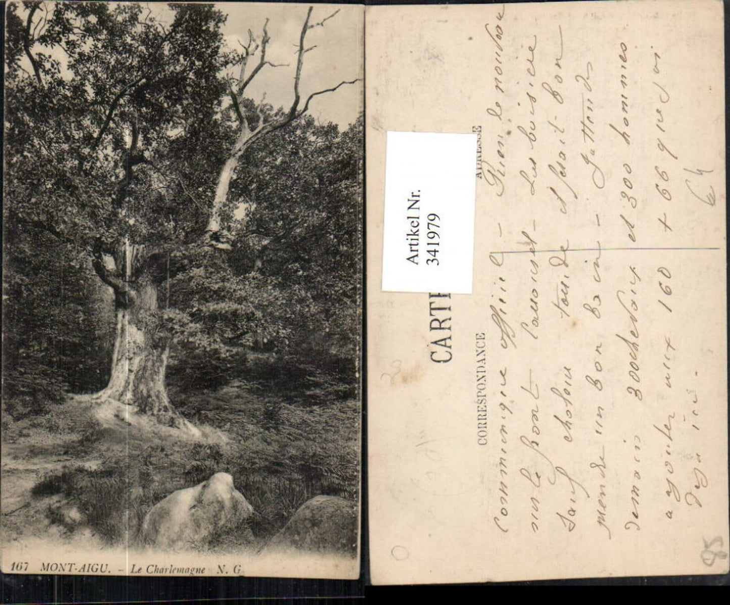 341979,Pays de la Loire Vendee Mont-Aigu Le Charlemagne Baum