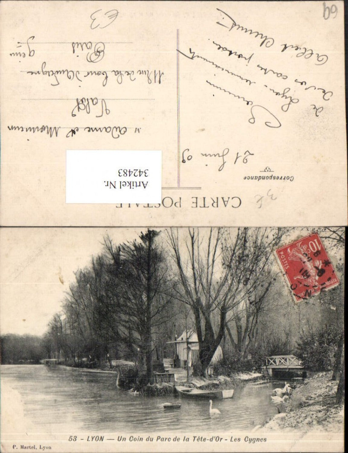 342483,Rhone-Alpes Rhone Lyon Un Coin du Parc de la Tete-d'Or Les Cygnes Schwäne