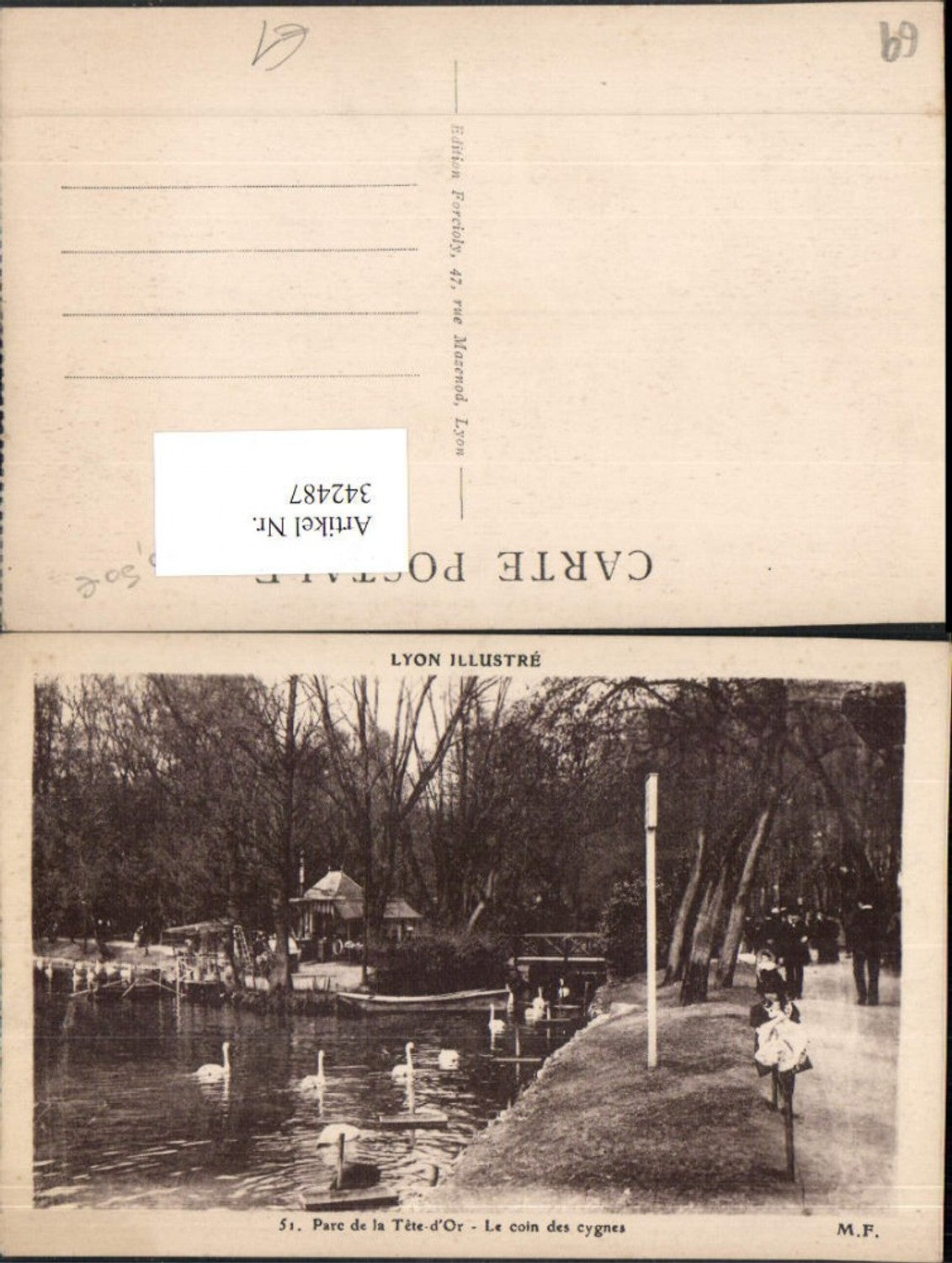 342487,Rhone-Alpes Rhone Lyon Parc de la Tete-d'Or Le coin des Cygnes Schwäne