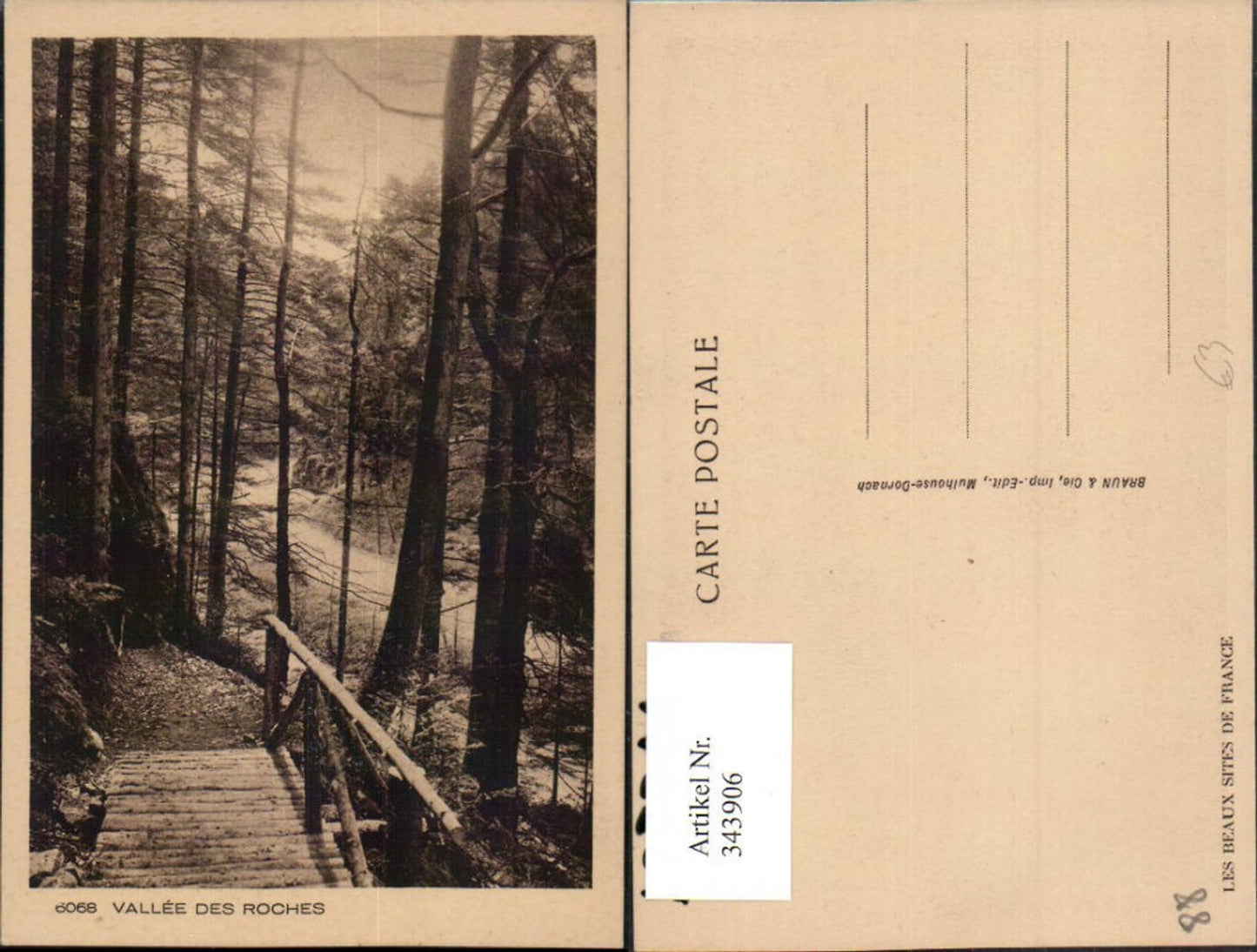 343906,Lorraine Vosges Vallee des Roches Forest