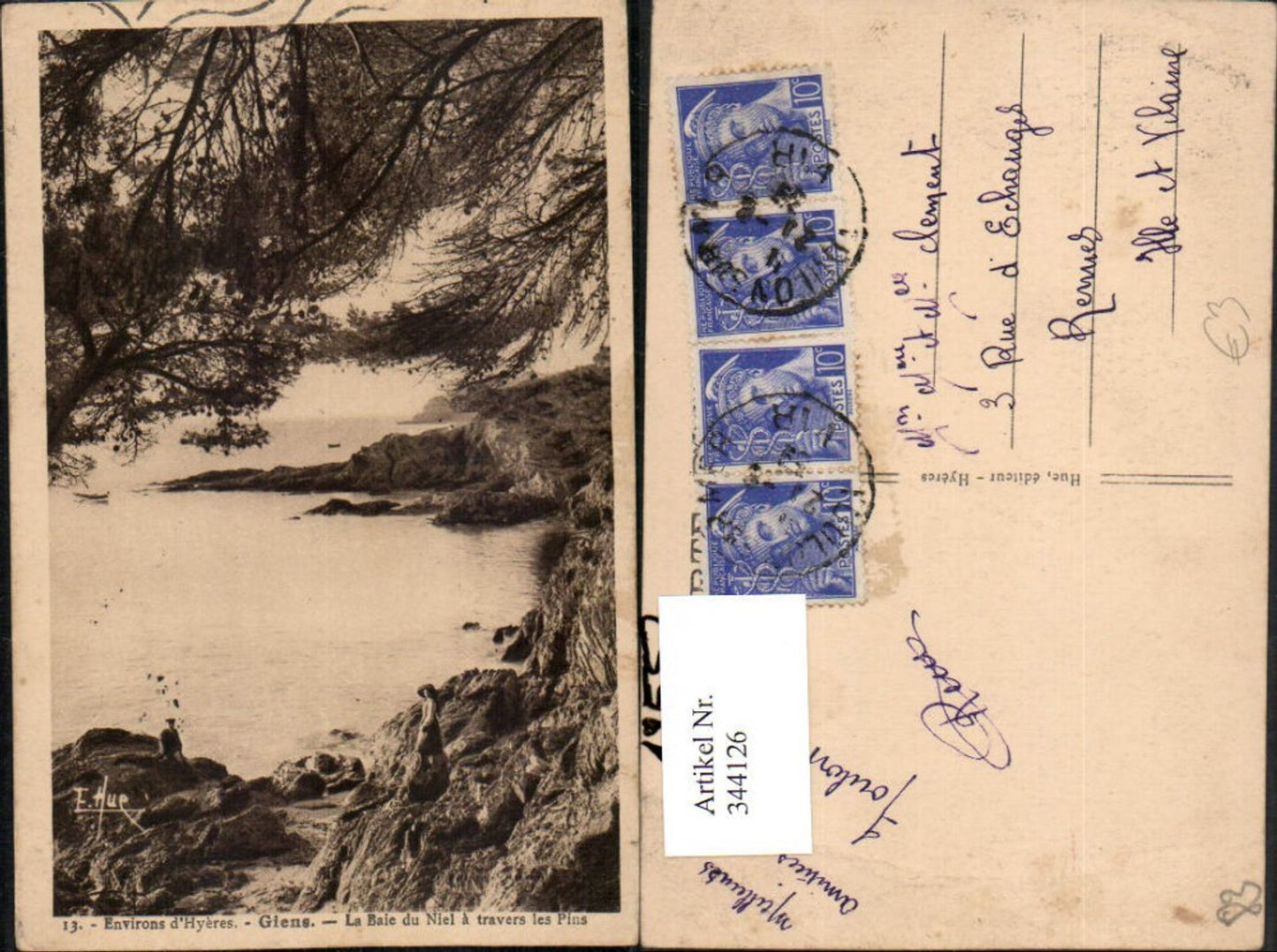 344126,Provence-Alpes-Cote-Azur Var Giens La Baie du Niel a travers les Pins Küste