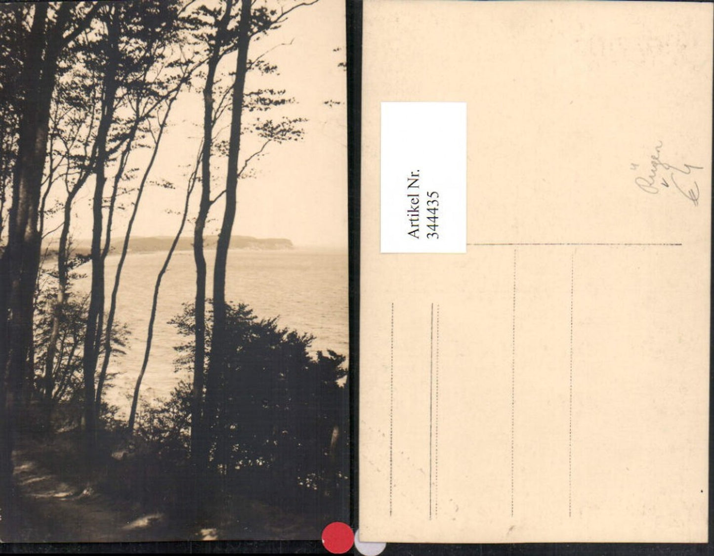 344435,Foto AK Göhren Rügen Küste Bäume pub Karl Bitterling