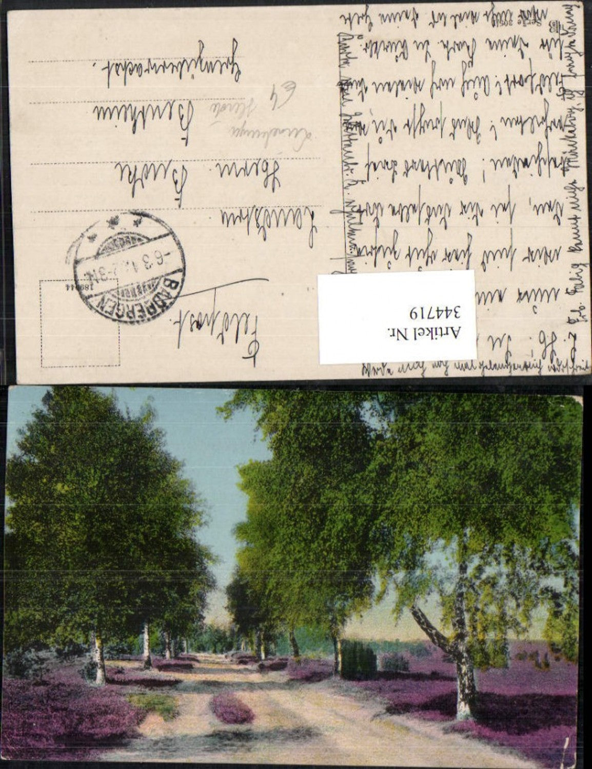 344719,Lüneburger Heide Landschaft Straße Birken