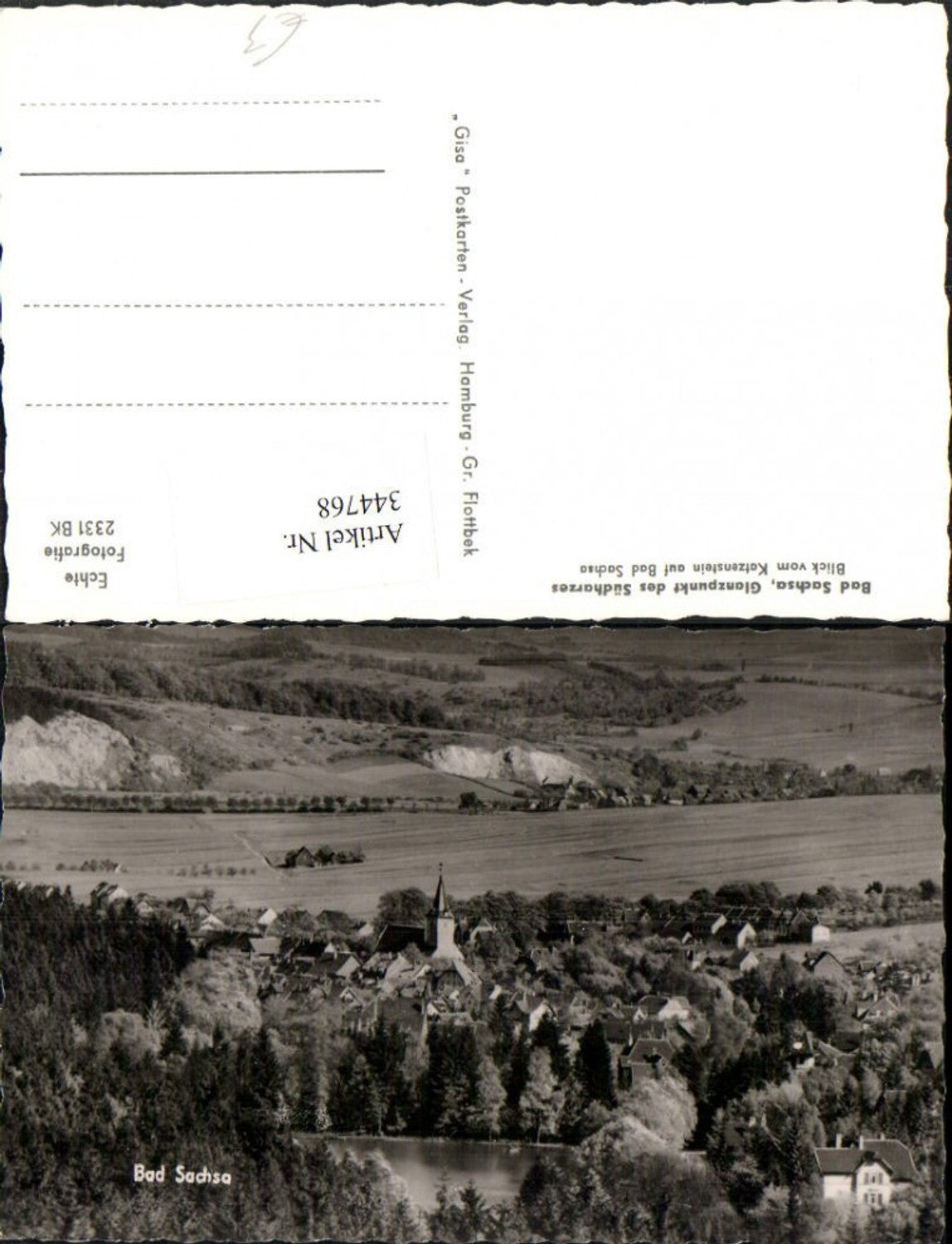 344768,Bad Sachsa Totale vom Katzenstein