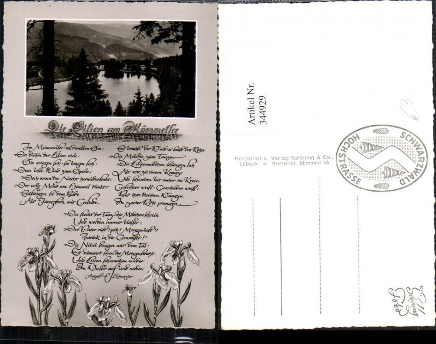 344929,Die Lilien am Mümmelsee See b. Seebach Gedicht Text Blumen