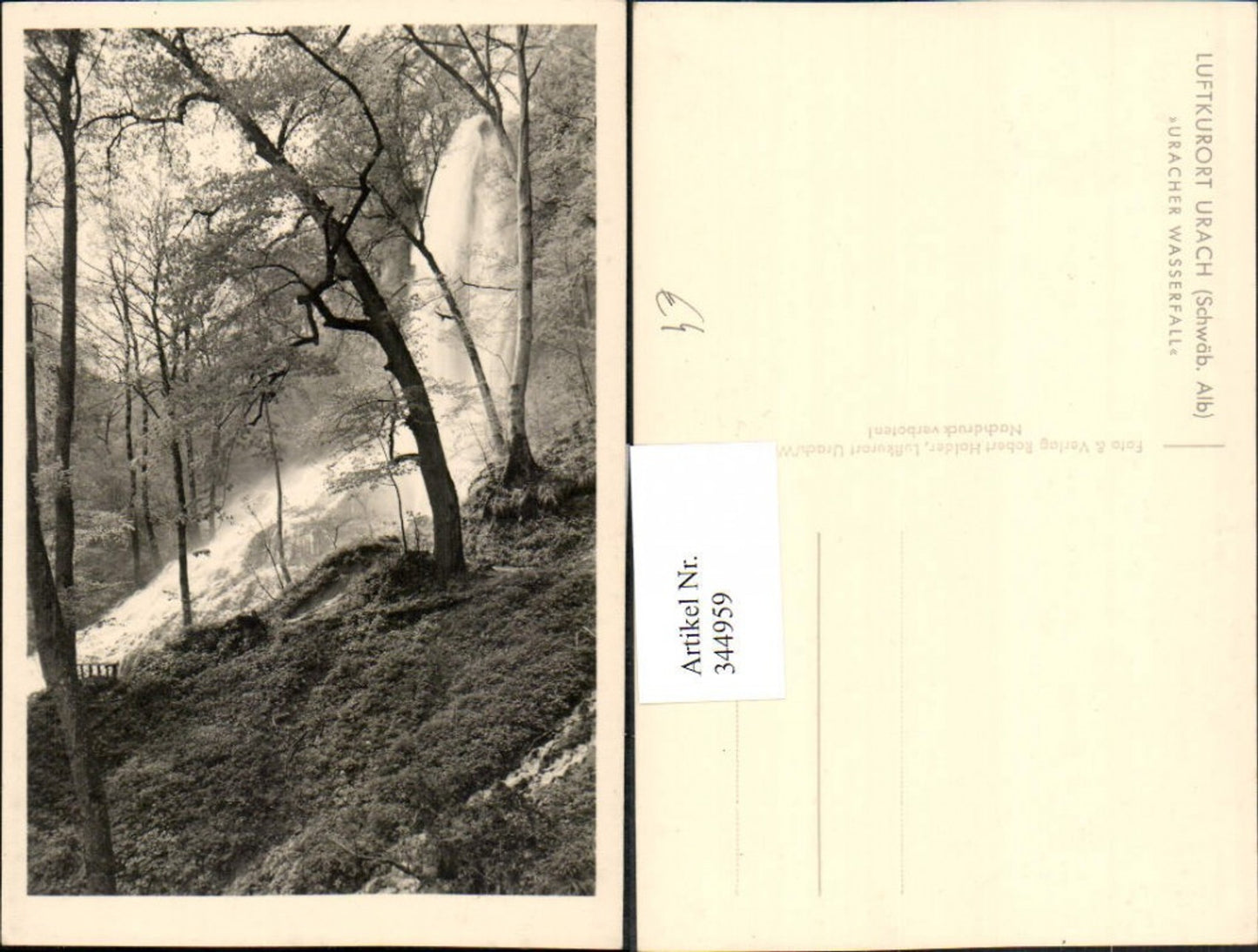344959, Bad Urach Urach Waterfall