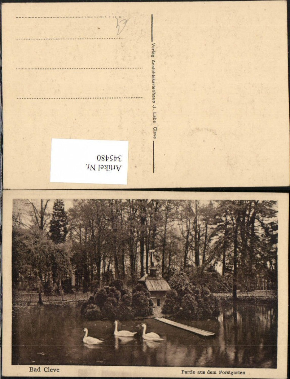 345480,Bad Cleve Kleve Partie aus dem Forstgarten Schwäne