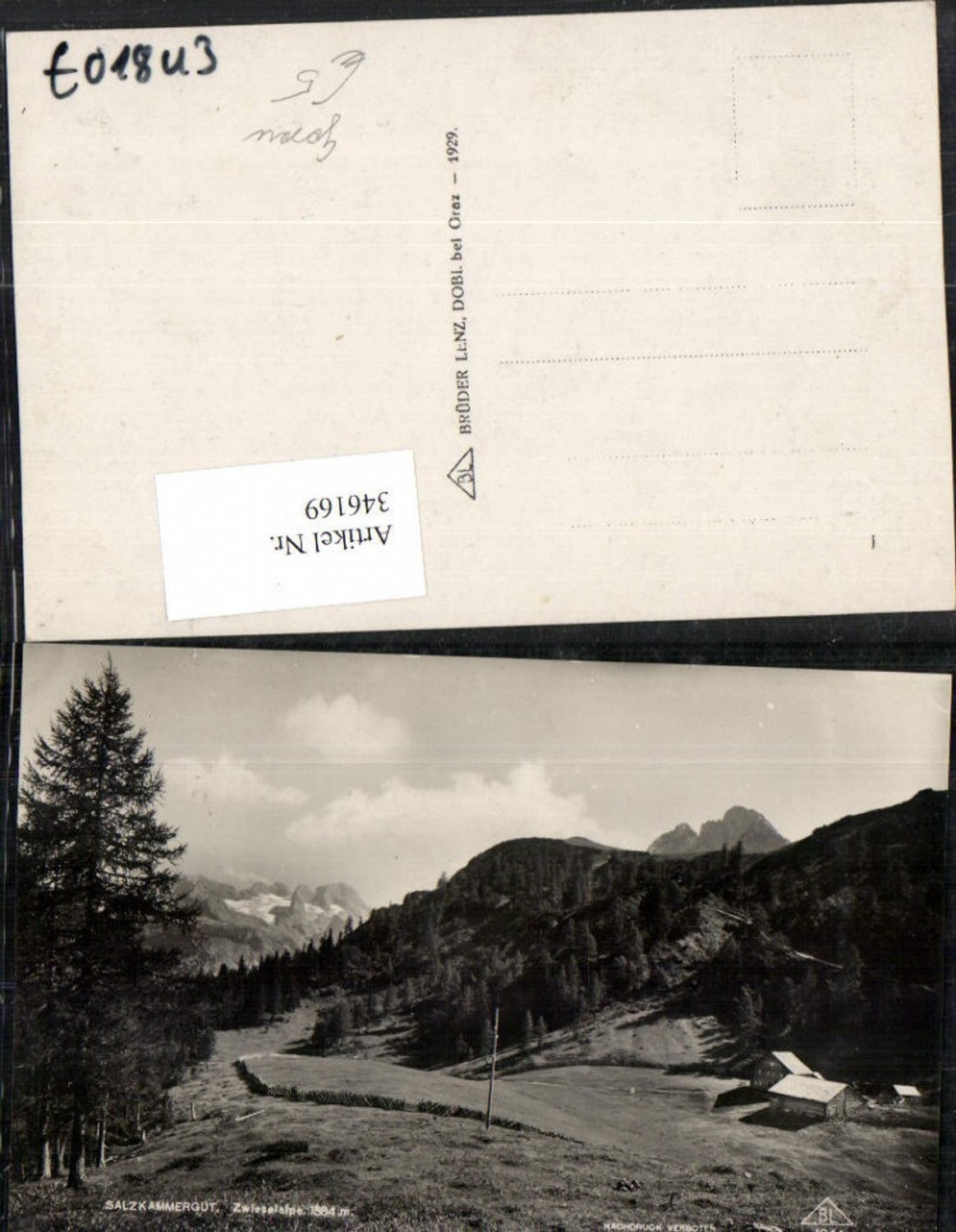 346169,Zwieselalpe Alm b. Gosau Bergkulisse