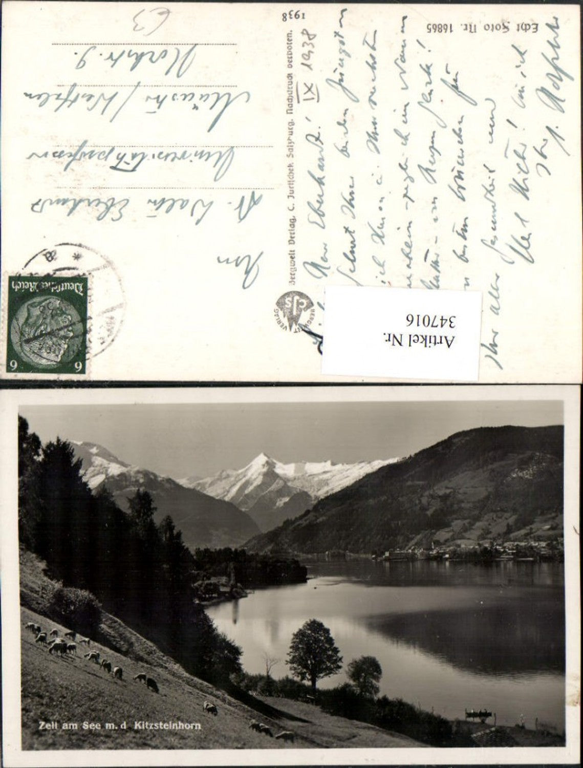 347016,Blick auf Zell am See Teilansicht m. Kitzsteinhorn Bergkulisse