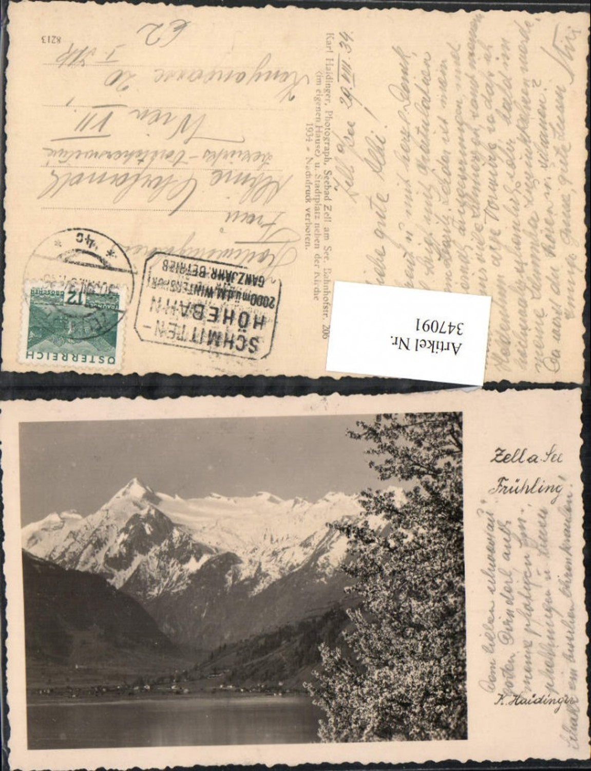 347091,Zell am See Frühling Bergkulisse Baumblüte