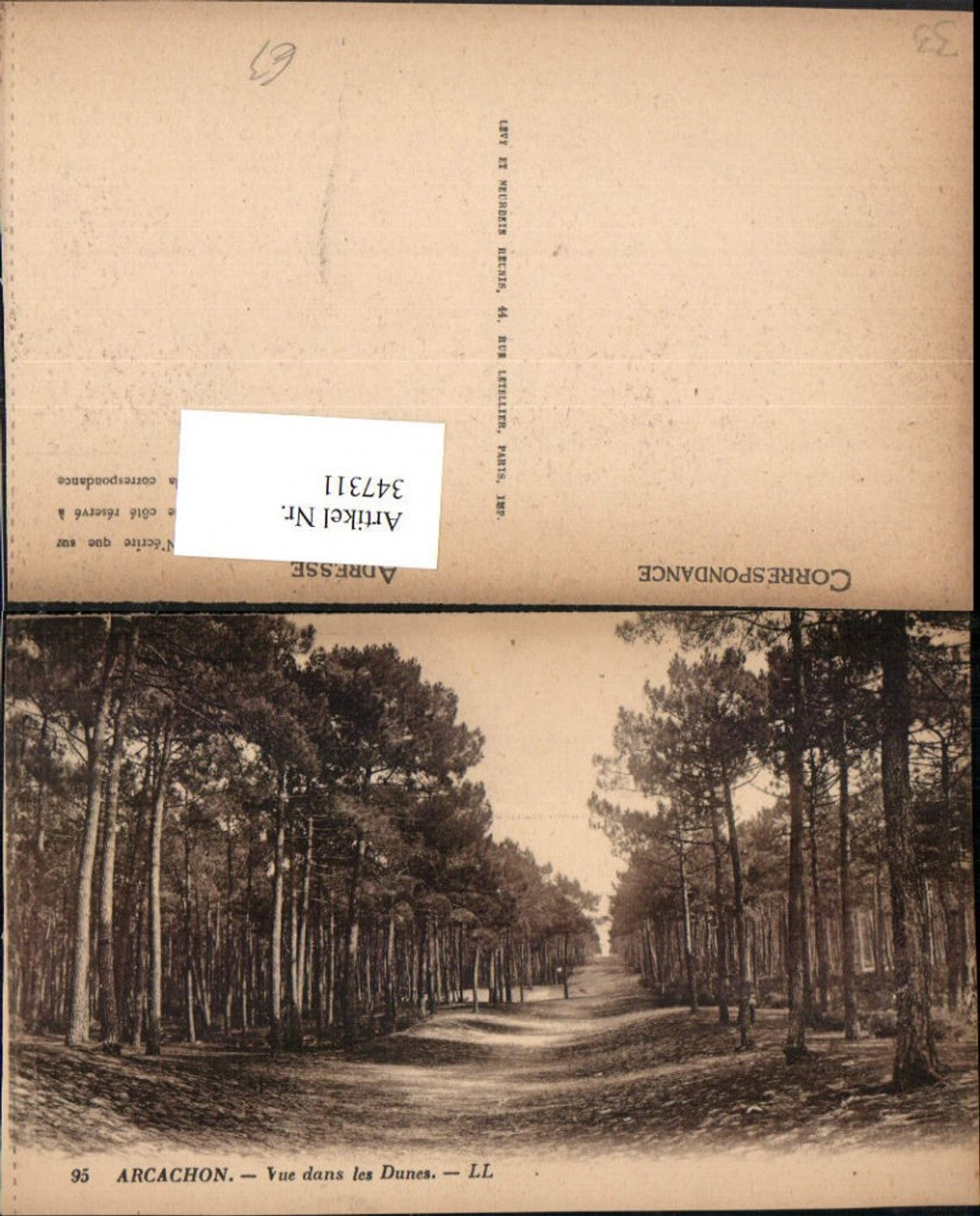 347311,Aquitanien Gironde Arcachon Vue dans les Dunes Straße Wald